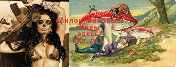 амф Лабытнанги