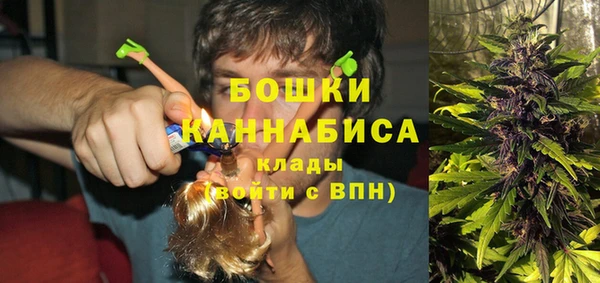 индика Ветлуга